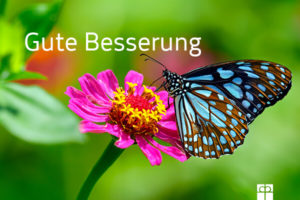 Schmetterling